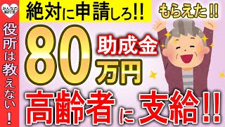 【2024年9月最新情報】政府から高齢者へ80万円支給！申請したらもらえる制度！【敬老パス年金生活者支援給付金補聴器購入補助制度】 [upl. by Onej]