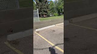 quotParging Repair in Edmonton  Alta Exterior Ltdquot [upl. by Vitalis]