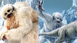 The Wampa  Everything You Need To Know Star Wars Explained [upl. by Ellah799]