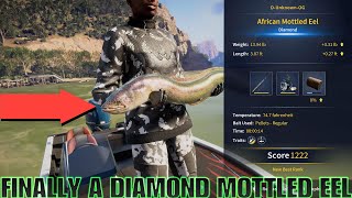 Diamond Mottled Eel FINALLY  Try This SPOT  South Africa  Call Of The Wild  The Angler [upl. by Schroth259]