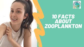 10 Zooplankton Facts [upl. by Artus]