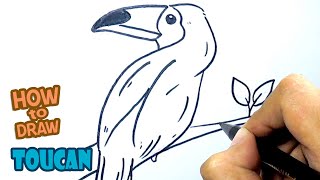 How to Draw Toucan  Drawing Step by Step [upl. by Griggs]