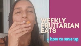 what I eat in a week fruitarian not in the tropics  pro tips to spend less as a Fruitarian [upl. by Ulu619]