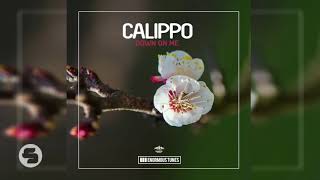 Calippo  Down On Me Organ Pleasure Edit [upl. by Rudolf]