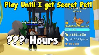 Playing Nonstop Until I Hatch A Secret Pet  Clicker Simulator Roblox [upl. by Nosam675]