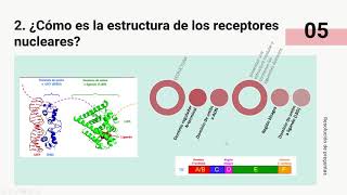 FARMACOLOGIA DE LOS RECEPTORES NUCLEARES [upl. by Browning]