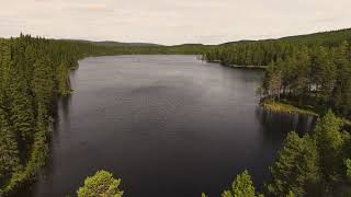 Större bolagsägd skog  Strömsund Gussåsen 714 ha [upl. by Base631]