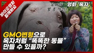 바이오 영화 함께 봐요 감성 슈퍼 돼지 옥자가 GMO 바린이들을 위한 똑똑한 바이오 영화 리뷰한국바이오안전성정보센터X옥자ep1 1부 시작합니다  깜짝이벤트 [upl. by Adekan]