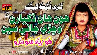 Hun Aan Dikaran  Fozia Soomro  Hits Sindhi Song  Full HD [upl. by Dicky]