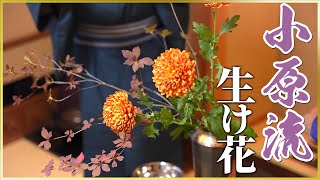 【三大流派】小原流の大物が出演！生け花を披露！ [upl. by El]