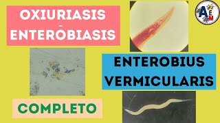 ENTEROBIASIS U OXIURIASIS  Enterobius vermicularis completo [upl. by Elolcin]