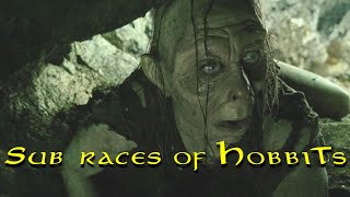 The 4 Types of Halflings of JRR Tolkiens Lore [upl. by Shaughn]