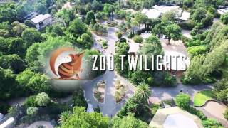 Zoo Twilights 2017 [upl. by Davilman]