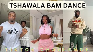 Tshawala Bam Tiktok Dance Challenge Compilation l Davido l Don Jazzy [upl. by Ahsiena379]