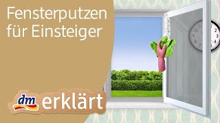 dm erklärt Haushalt für Einsteiger  Fenster putzen [upl. by Sirapal]