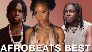 BEST OF NAIJA AFROBEATS 2024 VIDEO MIX AFROBEATS PARTY MIX  KENYA  TANZANIA  GHANA SOUTH AFRICA [upl. by Krenek]