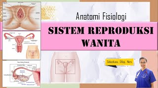 ANATOMI FISIOLOGI SISTEM REPRODUKSI WANITA [upl. by Ahsikan]