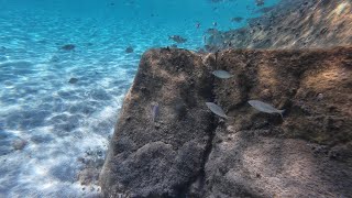 Sithonia blue waters  snorkeling [upl. by Tingley529]