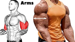 Best Bicep amp Tricep To Force Arms Growth  workout [upl. by Rickard941]