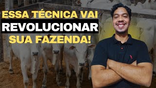 Inseminação artificial em bovinos Tudo o que você precisa saber [upl. by Annawak]