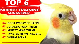 PARROT TRAINING SONGS EVERWhistle TrainingTeach Your BirdCockatiel SingingBudgie [upl. by Eyr]