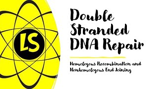 Double Stranded DNA Repair  Homologous Recombination and Nonhomologous End Joining [upl. by Adalai512]