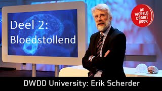 Het Brein deel 2 Prof dr Erik Scherder in De Wereld Draait Door University [upl. by Normie409]