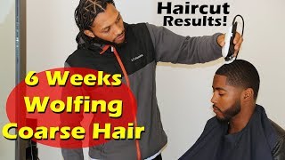 End of 6 Weeks Wolfing Coarse Hair 360 Wave Progress Tips Revealed [upl. by Rebor]