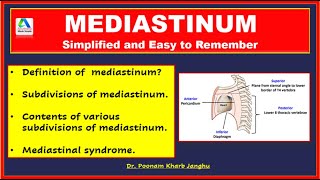 Mediastinum  Mediastinum anatomy  Mediastinum contents [upl. by Yendor]