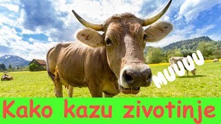 Kako Kazu Zivotinje  Zivotinje Na Farmi [upl. by Vinita997]