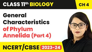 General Characteristics Phylum Annelida Part 4  Class 11 Biology Chapter 4  NCERTCBSE [upl. by Arba243]