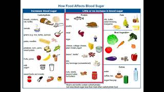 Adult Type 2 Diabetes  4 Nutrition Basics [upl. by Wynny]