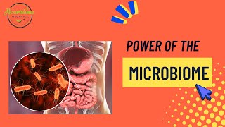 Unlocking the Secrets of the Human Microbiome  What You Need to Know [upl. by Gretel]