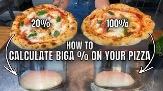 In Depth Understanding Biga  For Pizza Dough [upl. by Gil]