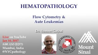 Hematopathology Flow Cytometry and Acute Leukemias [upl. by Aehsel]