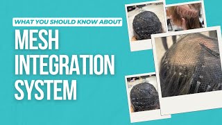 What is the Mesh Integration System [upl. by Chambers119]