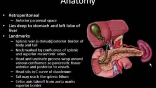 Ultrasound of the Pancreas [upl. by Wilfreda]