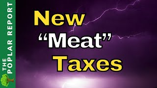 UN Quietly FORCES The US To LIMIT Meat Consumption [upl. by Tyre]