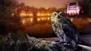 Efteling Bosrijk commercial 2013  Efteling [upl. by Aubyn214]