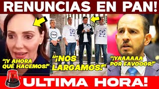 🚨SABADAZO VS PAN RENUNCIAS MASIVAS DE MILITANTES SIGUE LA SANGRÍA SE HARTAN DE MARKO Y LILLY BYEEE [upl. by Garratt987]