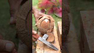 open the coconut shell asmr [upl. by Meit]