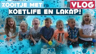 DRIELING KOETLIFE IS 7 JAAR   DE BAKKERTJES 128 [upl. by Gala]