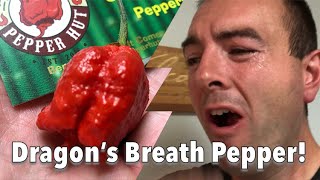 Dragon’s Breath Pepper Challenge  Carolina Reaper Knock Off [upl. by Didier]