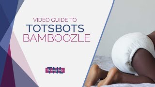 TotsBots Bamboozle Video Guide  The Nappy Lady [upl. by Aramak]