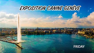 Exposition Canine Genève 2023  FRIDAY [upl. by Ahsrat]