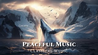 Classical Music Peaceful Music – ChopinNocturnes [upl. by Silsby]