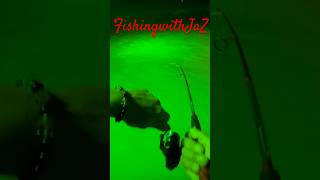 Trout action in Arroyo City TX 956 fishing fish arroyo saltwater fun [upl. by Natsirc]