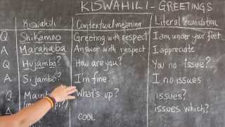 Video 1  GO presents BEST Swahili Tutorials  GREETINGS live from Tanzania [upl. by Chloris971]