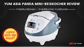 Yum Asia Panda Mini Reiskocher Review [upl. by Mei]