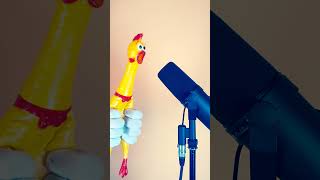 Giornos Theme MrChicken cover [upl. by Oigres815]